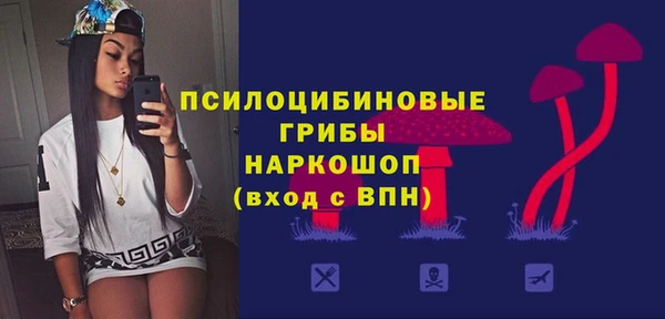 дмт Аркадак