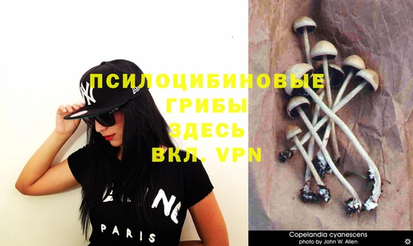 дмт Аркадак
